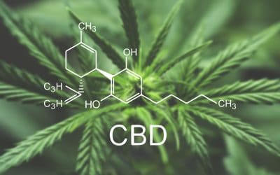 How to Make CBD Oil More Effective – 10 Ways