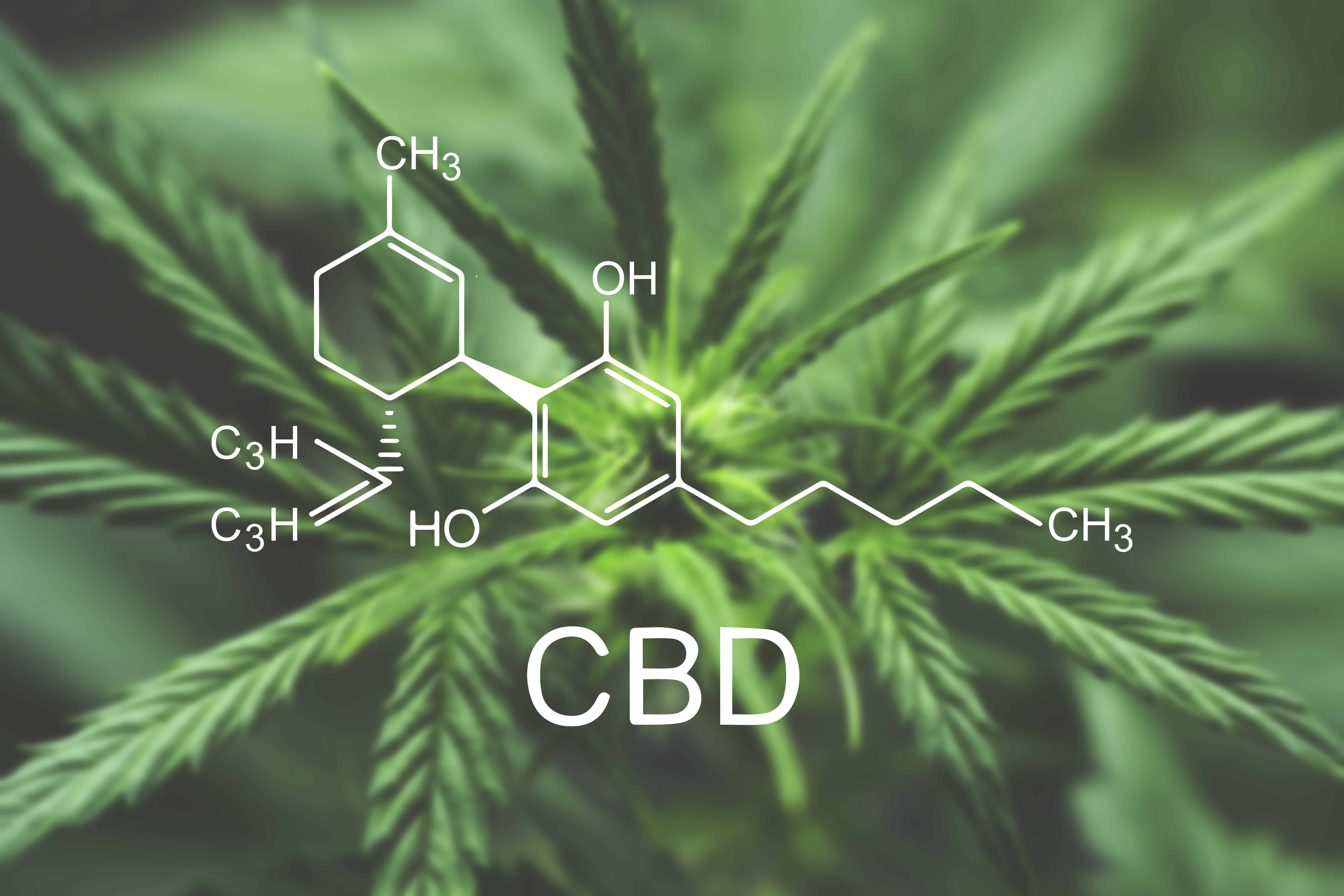 what-is-synthetic-cbd-and-why-is-it-used-in-pharmaceuticals-aura-cbd-oil