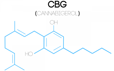 What is CBG and How Does it Compare to CBD?