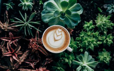 The Benefits of CBD Bulletproof Coffee and How to Make It